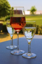 Froben Restaurant am Schloss, restaurant, gastronomy, drinking, wine glass, rose, wine, mineral