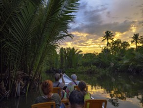 Boat trip, water palms and sunset, Ramang-Ramang, Sulawesi, Indonesia, Asia