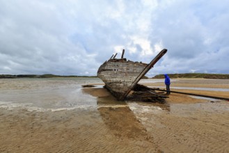 Wooden shipwreck Eddie's Boat, tourist on windy sandy beach, low tide, sandbank, Bunbeg,