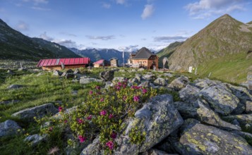 Mountain hut Lasörlinghütte in the evening light, mountain landscape with alpine roses,