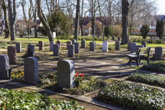 The first spring flowers appear on the graves, Alleestraße cemetery, Riesa, Saxony, Germany, Europe