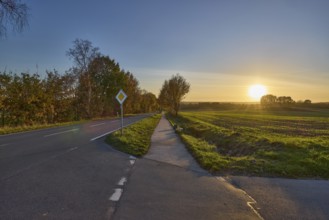 Country road, cycle path, trees, fields, backlight, sunset, blue cloudless sky, intersection of