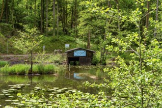 Small pond with dilapidated wooden shed in the water, Bad Reichenhall, Bavaria, Germany, Europe