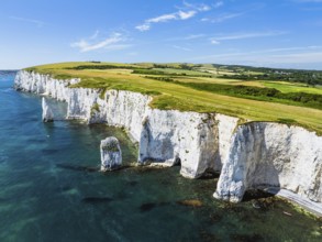 White Cliffs of Old Harry Rocks Jurassic Coast from a drone, Dorset Coast, Poole, England, United