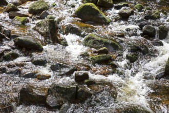 Fresh water of the Ilse, waterfalls in the Ilse valley, Ilsenburg, 22/08/2014, Ilsenburg, Germany,