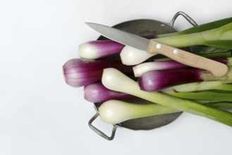 Spring onion and knife on skin, spring onion