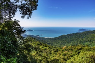 Castelhanos Beach seen from the middle of the rainforest on the island of Ilhabela on the north