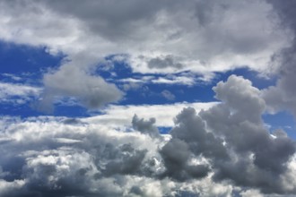 Cumulus clouds in blue sky, full-frame, Dingle Bay, Dingle Peninsula, County Kerry, Slea Head