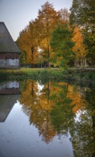 Autumnal lime trees (Tilia) reflected in a pond, Othenstorf Estate, Mecklenburg-Western Pomerania,