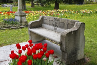 Gönningen tulip blossom, historic Gönningen cemetery, stone bench with inscription, donated by W.