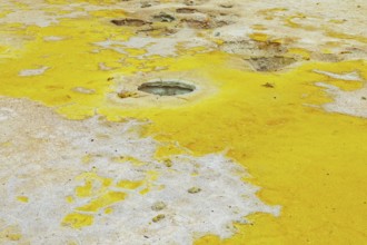 Splashes of sulphur colouring Stefanos crater ground, Nisyros Island, Dodecanese Islands, Greece,