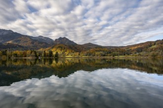 Autumn landscape by the lake, reflection in Lake Kochel, Upper Bavaria, Bavaria, Germany, Europe