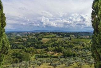 Hilly landscape, cypress (Cupressus), olive, olive tree (Olea europaea), weather, clouds, sky, San