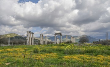 Excavation site site of the ancient city of Aphrodisias, Temple of Aphrodite, today's city of