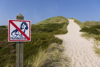 Path through the heathland, dogs prohibited, dog ban, dune landscape, hiking, excursion, nature,