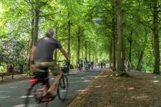 Promenade cycle path, tree-lined, car-free, approximately 4.5 km long ring road around the city