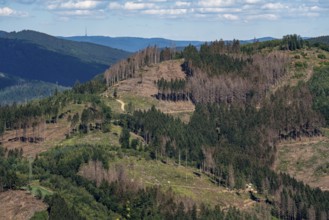 Mountain slope, with a lot of cleared forest area, damage caused by the bark beetle in the spruce