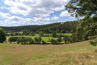 Landscape in the Rothaargebirge, Sauerland, south of Schmallenberg, North Rhine-Westphalia,