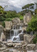 Landscape, park, trees, shrubs, plants, Japanese garden, Freiburg im Breisgau, Germany, Europe