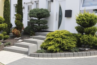 Well-kept front garden with block steps, ornamental stones and planting