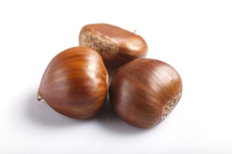 Sweet chestnuts isolated on white background. closeup, macro