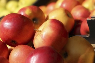 Close-up of fresh apples in a shop