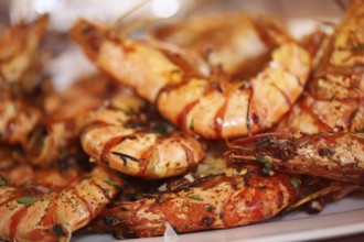 Grilled black tiger prawns