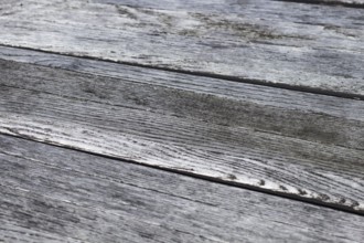 Old wooden gray-brown texture in the park