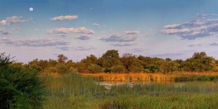 Moanachira River, nature, landscape, romantic, safari, natural landscape, travel, holiday,