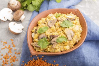 Lentils porridge with champignons and coriander in a clay bowl on a gray concrete background and