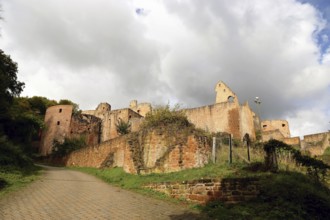 Hardenburg Castle in the Palatinate Forest near Bad Dürkheim on the Wine Route