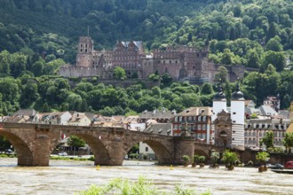 Heidelberg city panorama: the old bridge in the foreground, Heidelberg Castle in the background