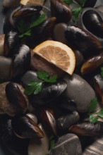 Fresh mussels, on rocks, top view, food concept, selective focus, seafood, no people