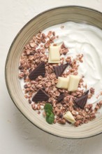 Yogurt with chocolate muesli, breakfast, close-up, fork on top, no people