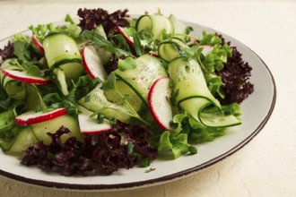 Vegetable salad, radishes and cucumbers, radish micro-greens, lettuce leaves, green onions,