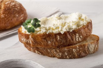 Sandwich, with cream cheese, homemade, on a cutting board, rustic style, no people, selective