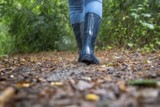 Woman on a walk in the rain (symbolic image, composing)