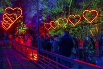 Parkleuchten, event in winter, in the Grugapark in Essen, many different light installations,