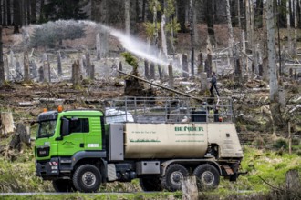 Spraying of a cleared forest area on which spruce trees infested by the bark beetle have died, thus