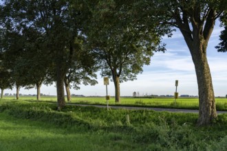 Public transport stop on land, Lower Rhine, Elendshof near Kalkar-Grieth, Rheinuferstraße, 2