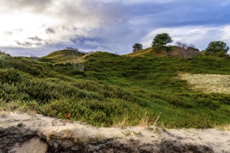 North Sea island of Spiekeroog, East Frisia, Lower Saxony, Germany, dune landscape, in the eastern