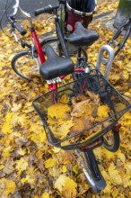 Autumn, leaves, bicycle parking, parking space, bicycles standing on autumn leaves, carpet of