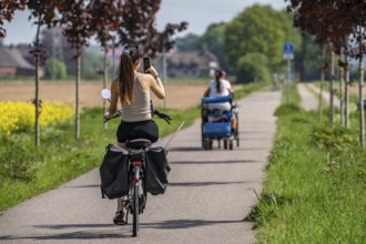 Cyclist on the avenue cycle path between Xanten and Marienbaum, Kalkar, mobile phone photo during