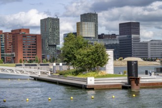 First part of the floating park, in the Rijnhaven, 28ha harbour basin, has now been filled in to