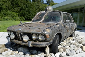 Former BMW 250cs by Lothar-Günther Buchheim, car under water with octopus, underwater, sculpture by