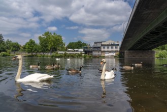 The Kurt Schumacher Bridge over the Ruhr near Essen-Steele, North Rhine-Westphalia, Germany, Europe