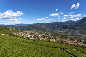 Wine-growing, in the Adige Valley, near the village of Tramin on the wine road, view from the