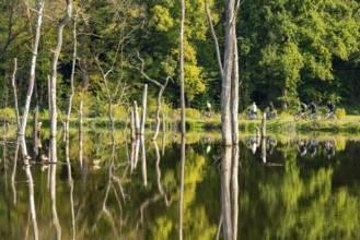 The nature reserve Kirchheller Heide, the Pfingstsee, created by subsidence caused by coal mining,