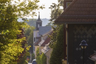 Meinholdsches Turmhaus Weingut Aust, Radebeul Weinhänge, Radebeul, Saxony, Germany, Europe