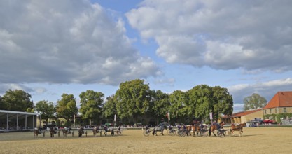 Warendorf State Stud, Stallion Parade, Trotting Carriage Quadrille